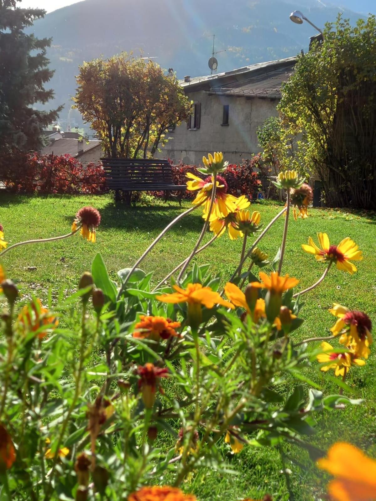 Appartamenti Via Monte Braulio 19 Bormio Exteriör bild